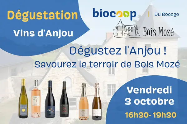 Fégustation vins d'Anjou